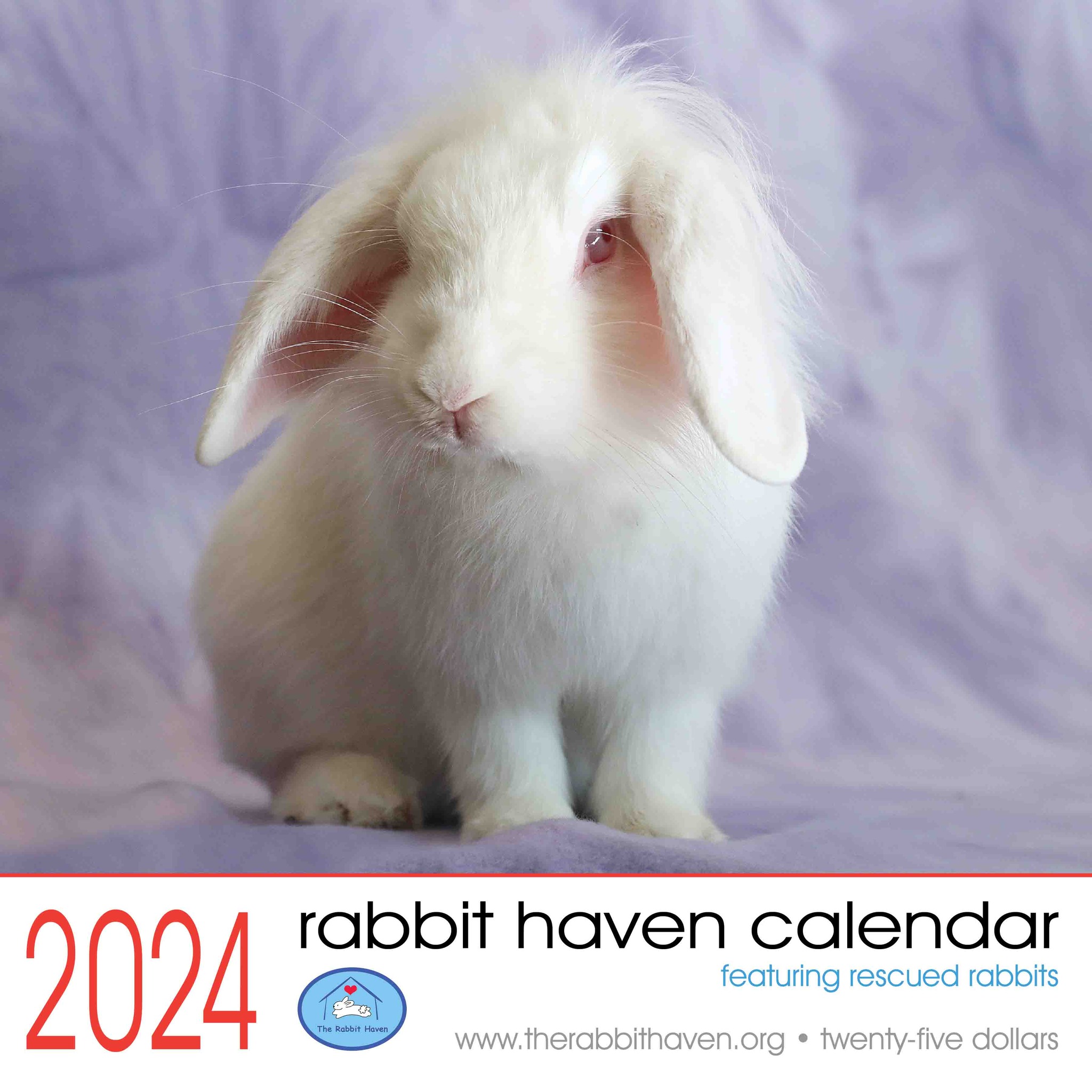 2024 Rabbit Haven calendar now available | The Rabbit Haven