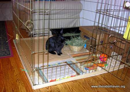 Rabbit playpen with floor hotsell